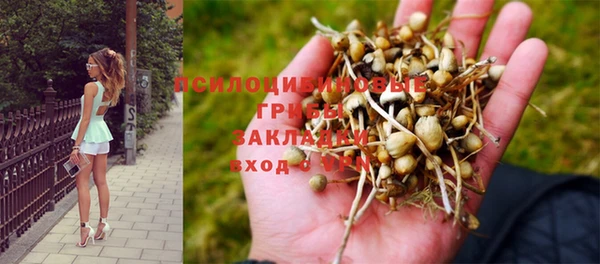 синтетический гашиш Кодинск