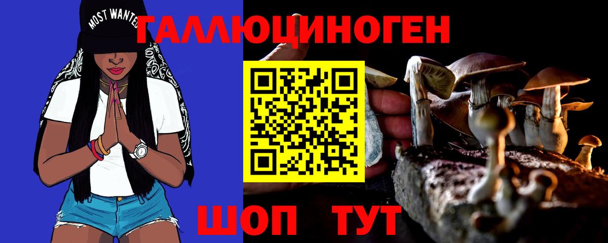 Псилоцибиновые грибы Cubensis Кропоткин